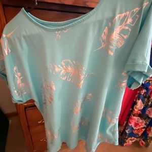 Beautiful blue and silver leaf top.